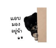 840808988