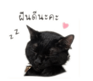 840809016