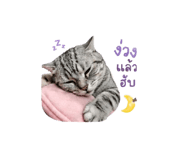 840809220