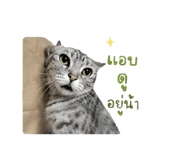 840809222