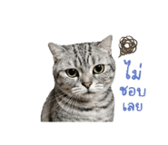 840809225