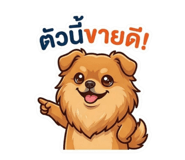 840809372