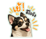 840809815