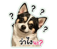 840809816
