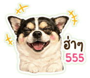 840809829
