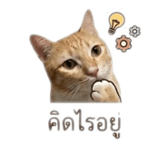 840809841