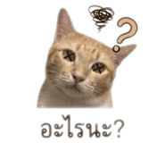 840809847