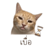 840809848