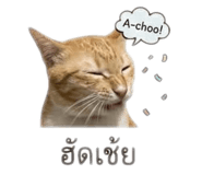 840809854