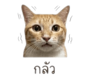 840809855