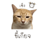 840809857