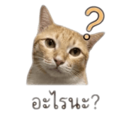 840809861