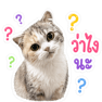 840810063