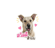 840810719