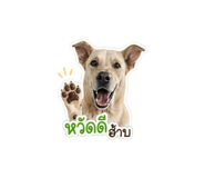 840810723
