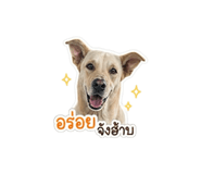 840810728