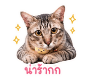840811115
