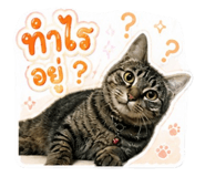 840811264