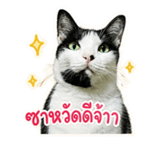 840811609