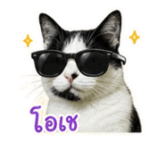 840811612