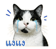 840811618