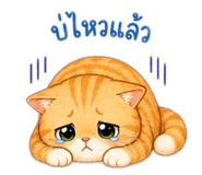 840811663
