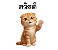 840812365