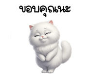 840812366