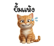 840812377