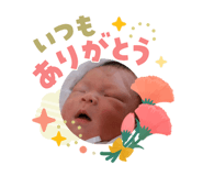 840812444