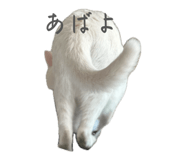 840812506