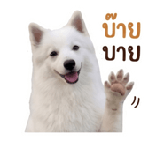 840812770