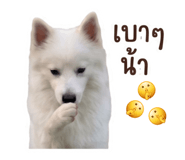 840812771