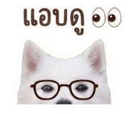 840812782