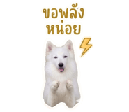 840812788