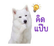 840812789