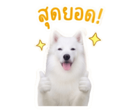 840812793