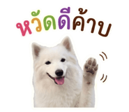 840812799
