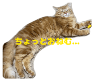 840812812