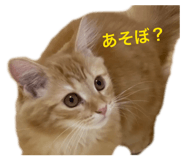840812815