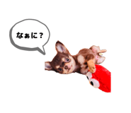 840813345