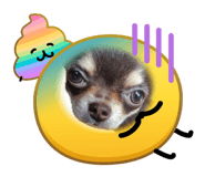 840813350