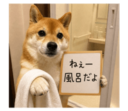 840813525