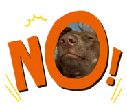 840813987