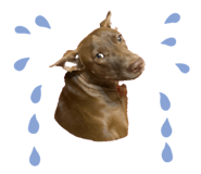 840813988