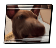 840813992