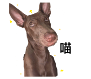 840813995