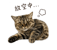 840814015