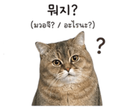 840814123