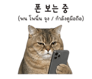 840814125